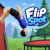 Flip Spot img