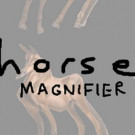 Horse Magnifier