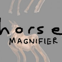 Horse Magnifier img